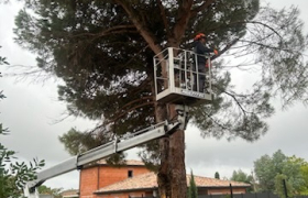 Elagueur Tournefeuille